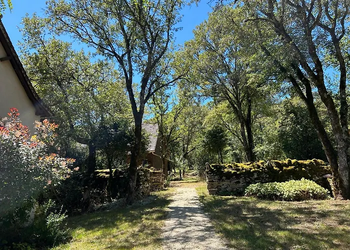 Le Domaine De La Claire Fontaine -chambres D'hotes B&B Montvalent