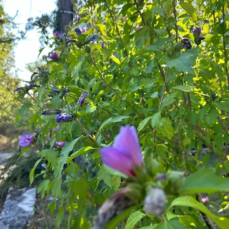 Le Domaine De La Claire Fontaine -chambres D'hotes Montvalent