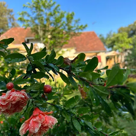 Le Domaine De La Claire Fontaine -chambres D'hotes Bed & Breakfast Montvalent