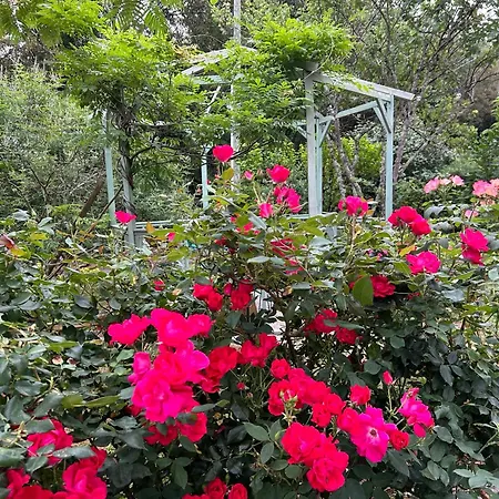 Le Domaine De La Claire Fontaine -chambres D'hotes 4*