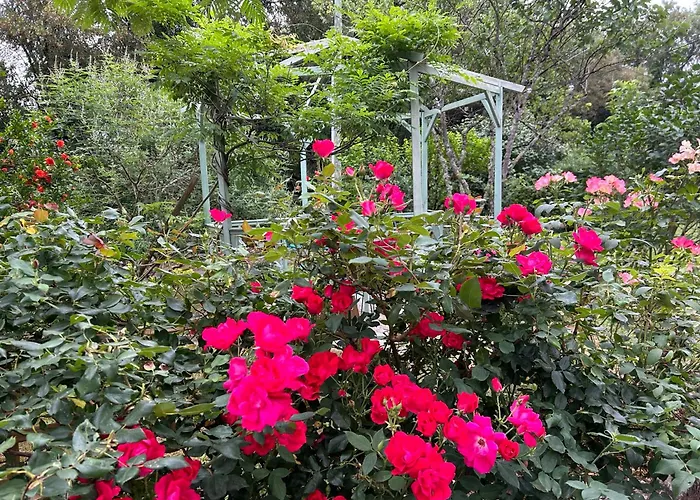 Le Domaine De La Claire Fontaine -chambres D'hotes 4*